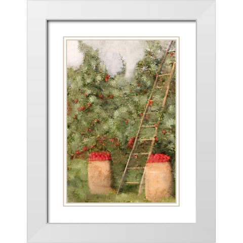 Country Fall 3 White Modern Wood Framed Art Print with Double Matting by Kimberly, Allen