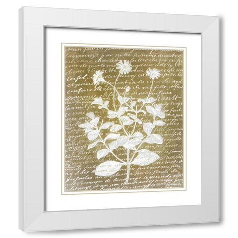 Notes on Floral 1 White Modern Wood Framed Art Print with Double Matting by Kimberly, Allen