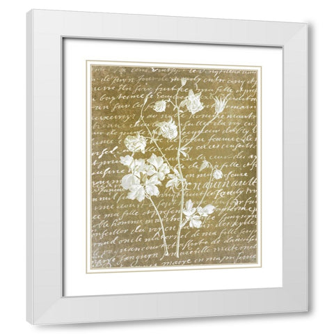 Notes on Floral 2  White Modern Wood Framed Art Print with Double Matting by Kimberly, Allen