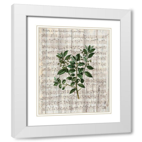 Musical Botanical 2 White Modern Wood Framed Art Print with Double Matting by Kimberly, Allen