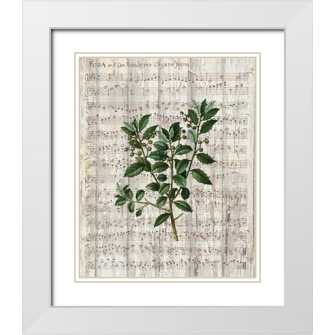 Musical Botanical 2 White Modern Wood Framed Art Print with Double Matting by Kimberly, Allen