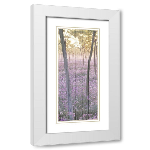 Sunset through the Trees 1 White Modern Wood Framed Art Print with Double Matting by Kimberly, Allen