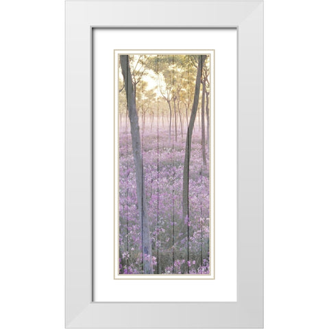 Sunset through the Trees 1 White Modern Wood Framed Art Print with Double Matting by Kimberly, Allen
