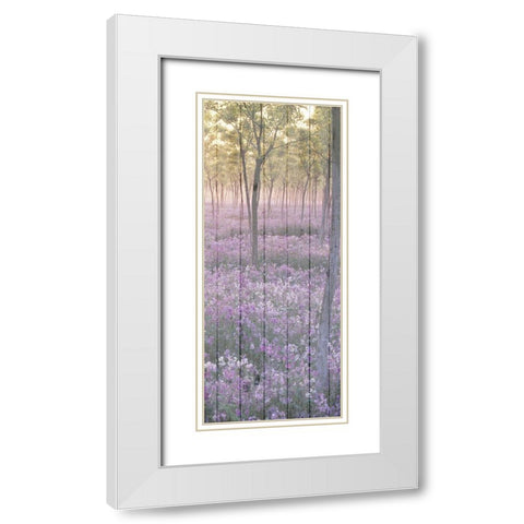 Sunset through the Trees 2 White Modern Wood Framed Art Print with Double Matting by Kimberly, Allen