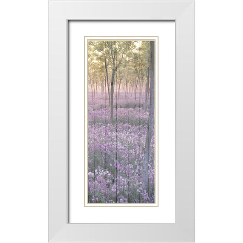 Sunset through the Trees 2 White Modern Wood Framed Art Print with Double Matting by Kimberly, Allen