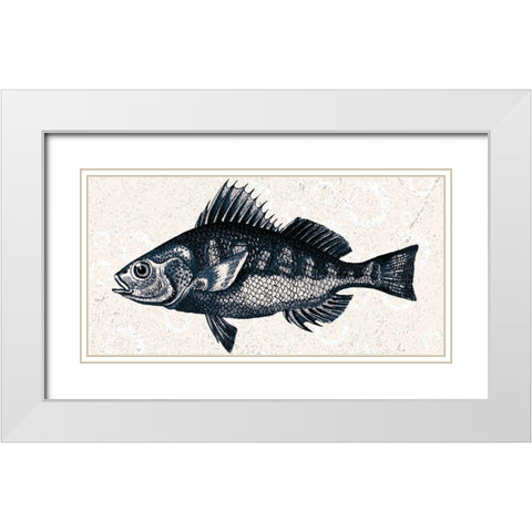 Sea Life 1 White Modern Wood Framed Art Print with Double Matting by Kimberly, Allen