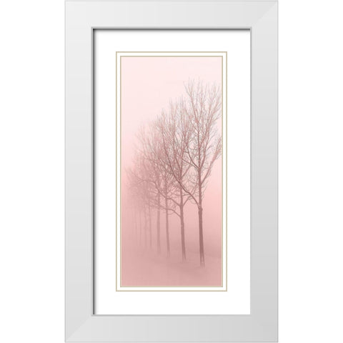 Pink Dawn 1 White Modern Wood Framed Art Print with Double Matting by Kimberly, Allen