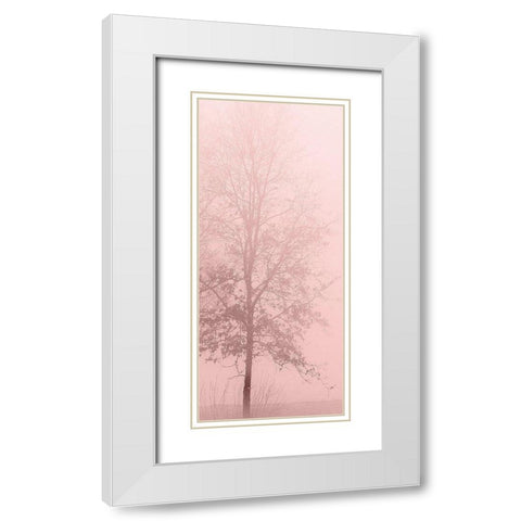 Pink Dawn 2 White Modern Wood Framed Art Print with Double Matting by Kimberly, Allen