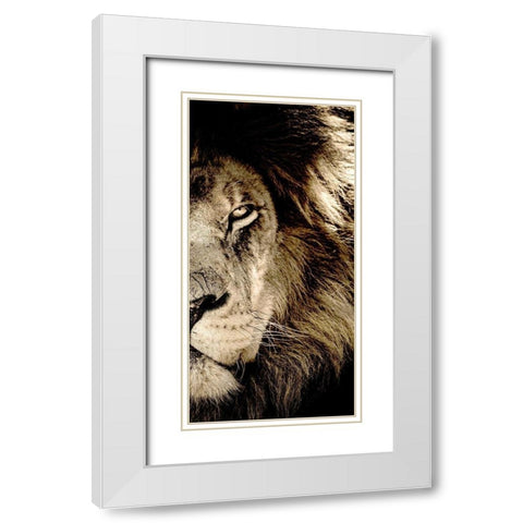 Gaze B White Modern Wood Framed Art Print with Double Matting by Kimberly, Allen