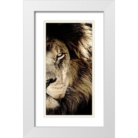 Gaze B White Modern Wood Framed Art Print with Double Matting by Kimberly, Allen