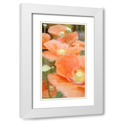 Summer Orange White Modern Wood Framed Art Print with Double Matting by Kimberly, Allen