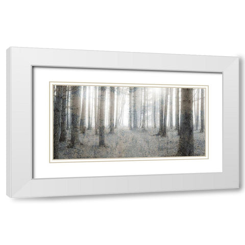 Forest Dream White Modern Wood Framed Art Print with Double Matting by Kimberly, Allen