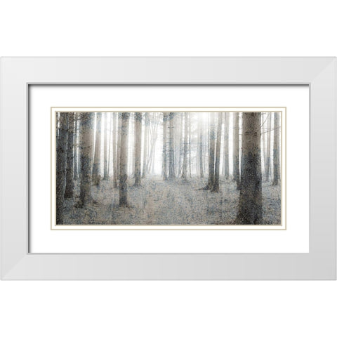 Forest Dream White Modern Wood Framed Art Print with Double Matting by Kimberly, Allen