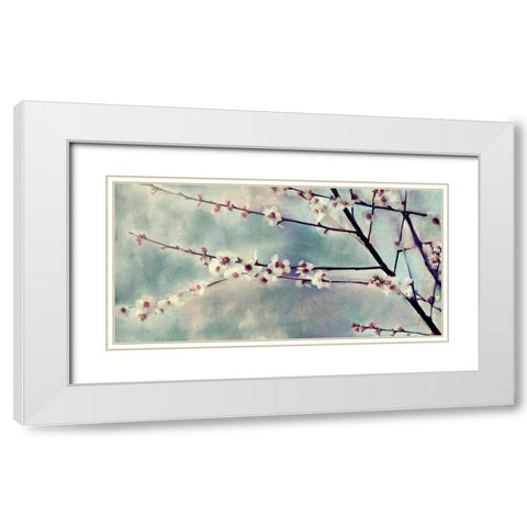 Cherry Blossoms Bloom White Modern Wood Framed Art Print with Double Matting by Kimberly, Allen
