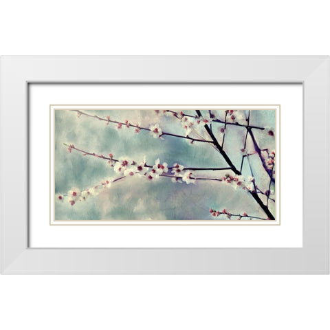 Cherry Blossoms Bloom White Modern Wood Framed Art Print with Double Matting by Kimberly, Allen