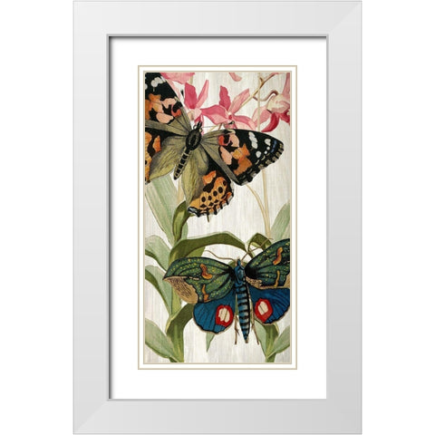 Butterfly World 1 White Modern Wood Framed Art Print with Double Matting by Kimberly, Allen