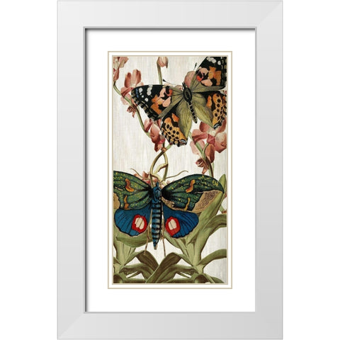Butterfly World 3 White Modern Wood Framed Art Print with Double Matting by Kimberly, Allen