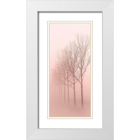 Pinkest Dawn 1 White Modern Wood Framed Art Print with Double Matting by Kimberly, Allen