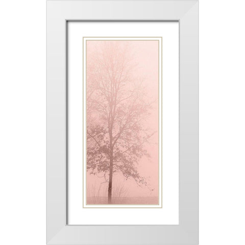 Pinkest Dawn 2 White Modern Wood Framed Art Print with Double Matting by Kimberly, Allen