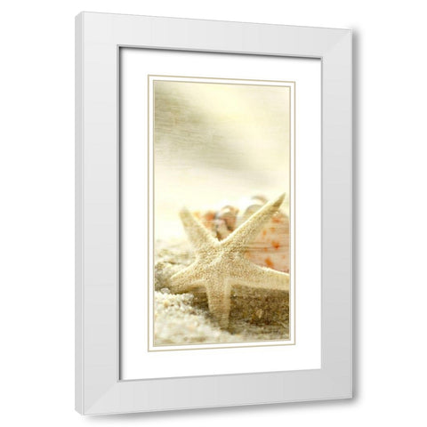 Starfish Beach 6 v2 White Modern Wood Framed Art Print with Double Matting by Kimberly, Allen