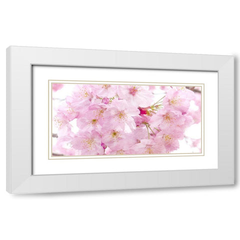 Paris in Bloom 2 White Modern Wood Framed Art Print with Double Matting by Kimberly, Allen