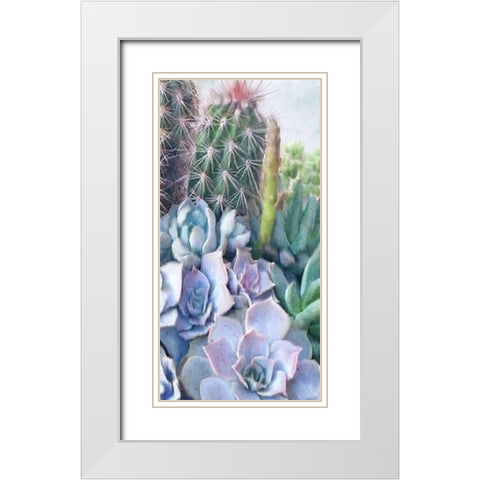 Succulent Garden 1 White Modern Wood Framed Art Print with Double Matting by Kimberly, Allen