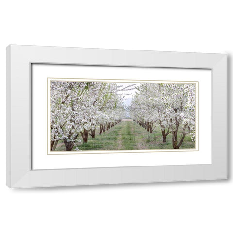 Countryside White Modern Wood Framed Art Print with Double Matting by Kimberly, Allen