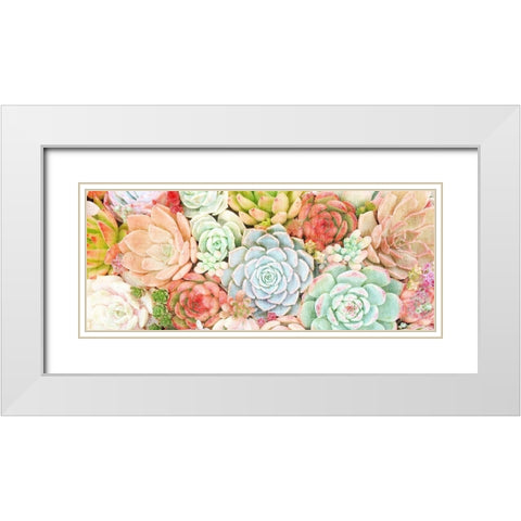 Colorful Succulents 1 White Modern Wood Framed Art Print with Double Matting by Kimberly, Allen