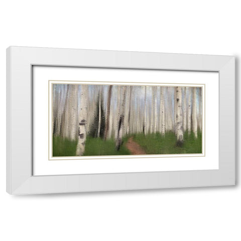 Path through the Aspens White Modern Wood Framed Art Print with Double Matting by Allen, Kimberly