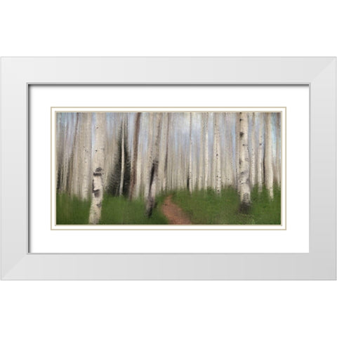 Path through the Aspens White Modern Wood Framed Art Print with Double Matting by Allen, Kimberly
