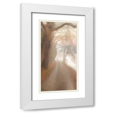Into the Mist White Modern Wood Framed Art Print with Double Matting by Allen, Kimberly