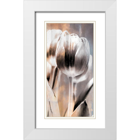 Tulip 1 White Modern Wood Framed Art Print with Double Matting by Allen, Kimberly