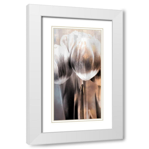 Tulip 2 White Modern Wood Framed Art Print with Double Matting by Allen, Kimberly