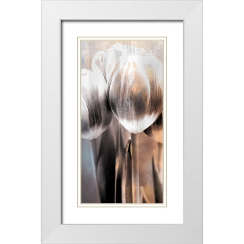 Tulip 2 White Modern Wood Framed Art Print with Double Matting by Allen, Kimberly