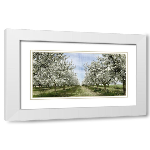 Spring White Modern Wood Framed Art Print with Double Matting by Allen, Kimberly
