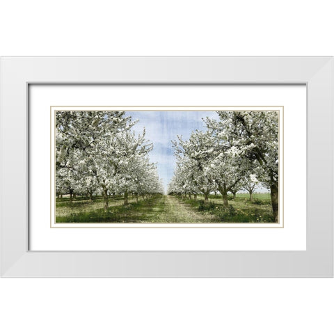 Spring White Modern Wood Framed Art Print with Double Matting by Allen, Kimberly