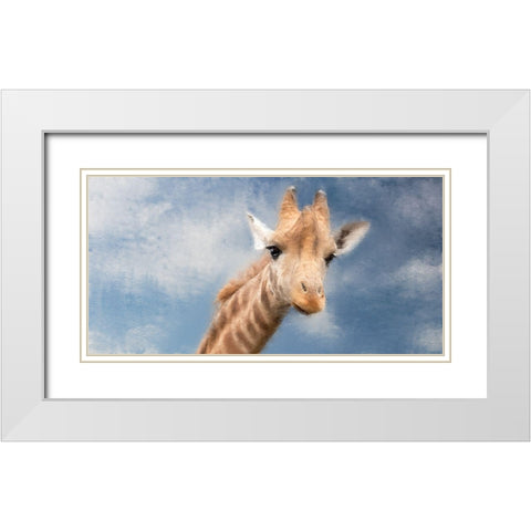 High View White Modern Wood Framed Art Print with Double Matting by Allen, Kimberly