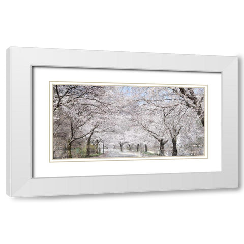 Cherry Blossom Lane White Modern Wood Framed Art Print with Double Matting by Allen, Kimberly