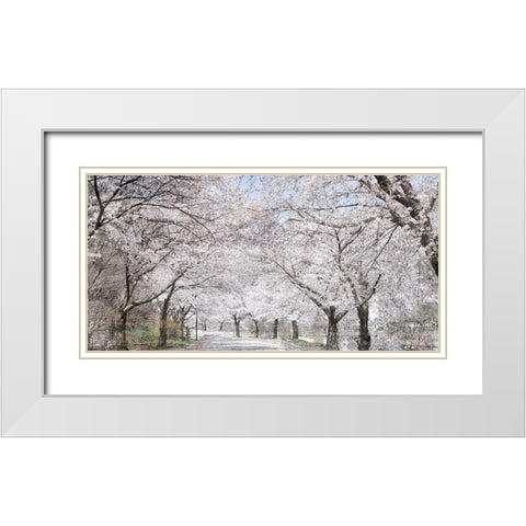 Cherry Blossom Lane White Modern Wood Framed Art Print with Double Matting by Allen, Kimberly