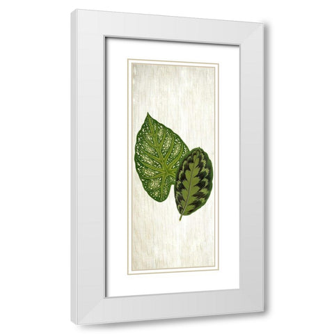 Botanical Greens 1 White Modern Wood Framed Art Print with Double Matting by Allen, Kimberly