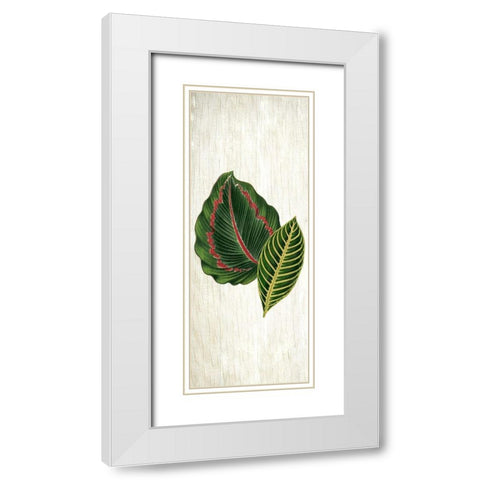 Botanical Greens 3 White Modern Wood Framed Art Print with Double Matting by Allen, Kimberly