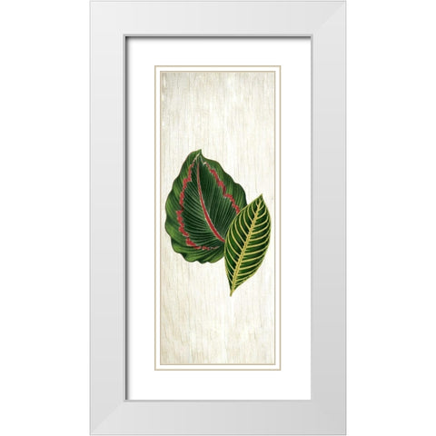 Botanical Greens 3 White Modern Wood Framed Art Print with Double Matting by Allen, Kimberly