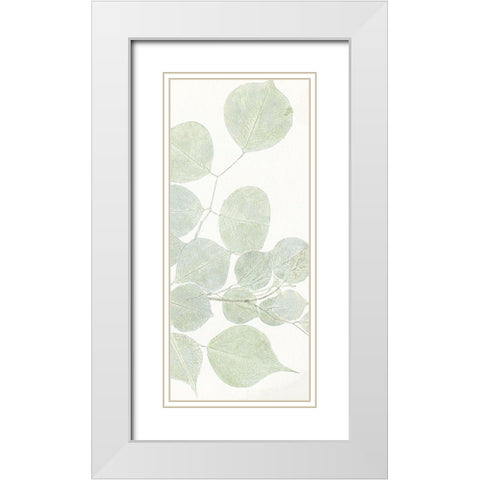 Soft Leaves 3 White Modern Wood Framed Art Print with Double Matting by Allen, Kimberly