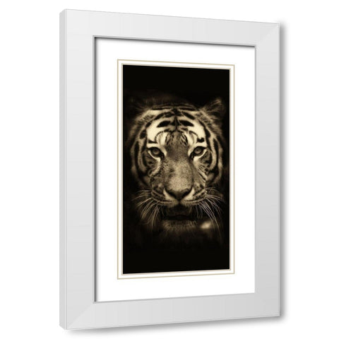 All Things 1 White Modern Wood Framed Art Print with Double Matting by Allen, Kimberly