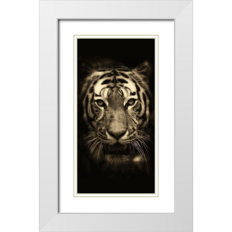 All Things 1 White Modern Wood Framed Art Print with Double Matting by Allen, Kimberly