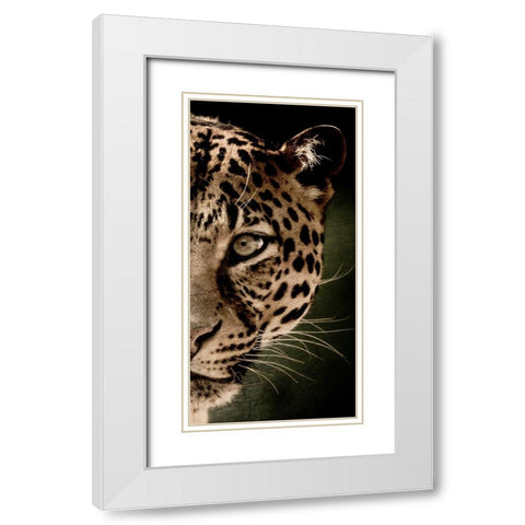 Leo Panel White Modern Wood Framed Art Print with Double Matting by Allen, Kimberly