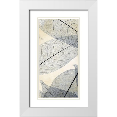Transparent Leaves 1 White Modern Wood Framed Art Print with Double Matting by Allen, Kimberly
