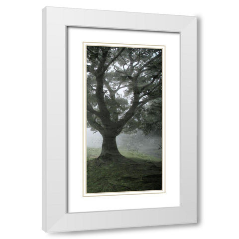 Summer Shades 3 White Modern Wood Framed Art Print with Double Matting by Allen, Kimberly
