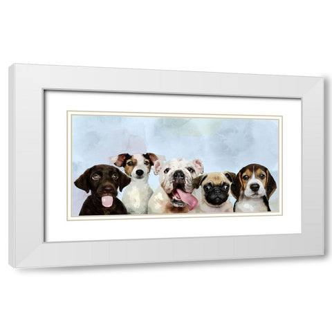 Puppy Portrait White Modern Wood Framed Art Print with Double Matting by Allen, Kimberly