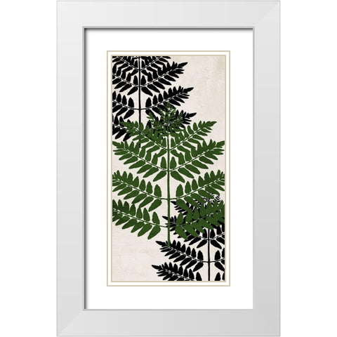 Pressed Ferns Panel 1 White Modern Wood Framed Art Print with Double Matting by Allen, Kimberly